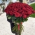 Букет из 101 красной розы (90 см) в Шатуре Букет из 101 красной розы (90 см) в Шатуре