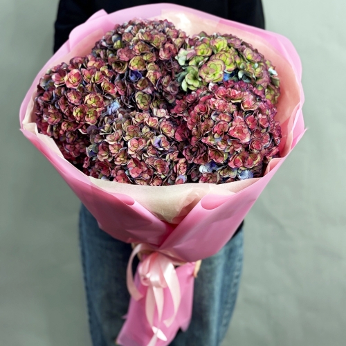 Букет из 5 космических Голландских гортензий в Шатуре