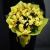 Букет из 13 лимонных орхидей в Шатуре Букет из 13 лимонных орхидей в Шатуре